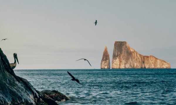 Kicker Rock Tour