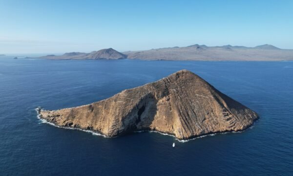 Floreana tour charter