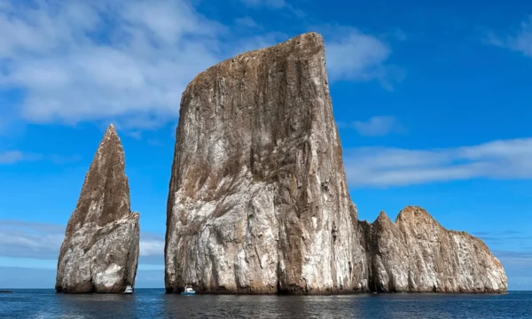 Kicker Rock tour charter