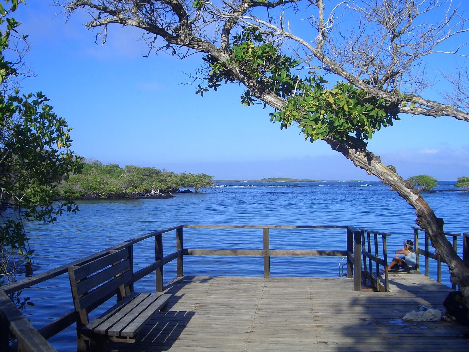 Paquete San Cristobal - Isabela - Image 17