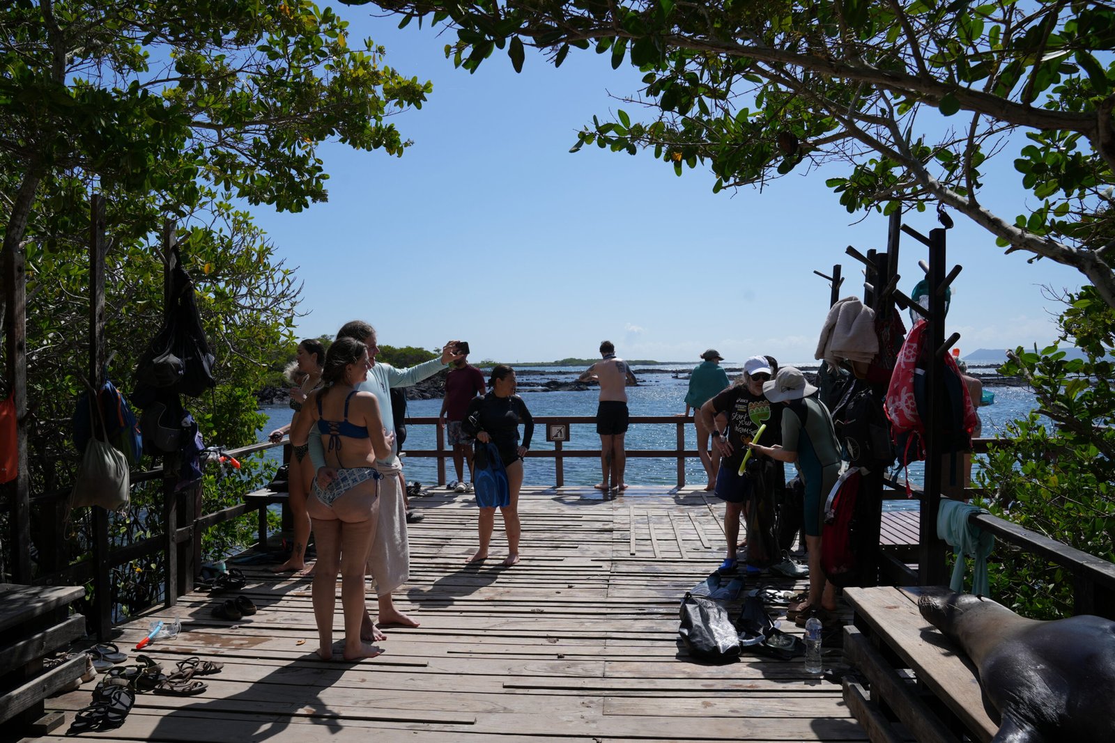 Paquete San Cristobal - Isabela - Image 20